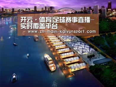 案例展示八