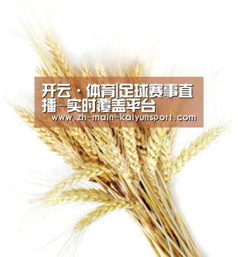 开云·体育|足球赛事直播-实时覆盖平台