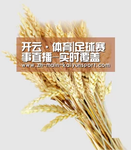 开云·体育|足球赛事直播-实时覆盖平台
