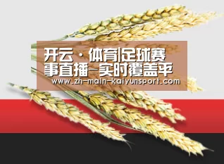 开云·体育|足球赛事直播-实时覆盖平台