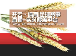开云·体育|足球赛事直播-实时覆盖平台