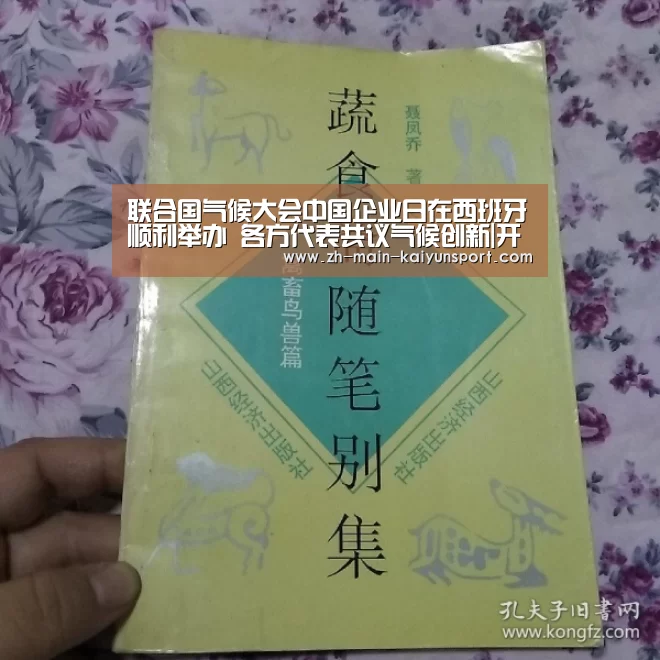 开云官方